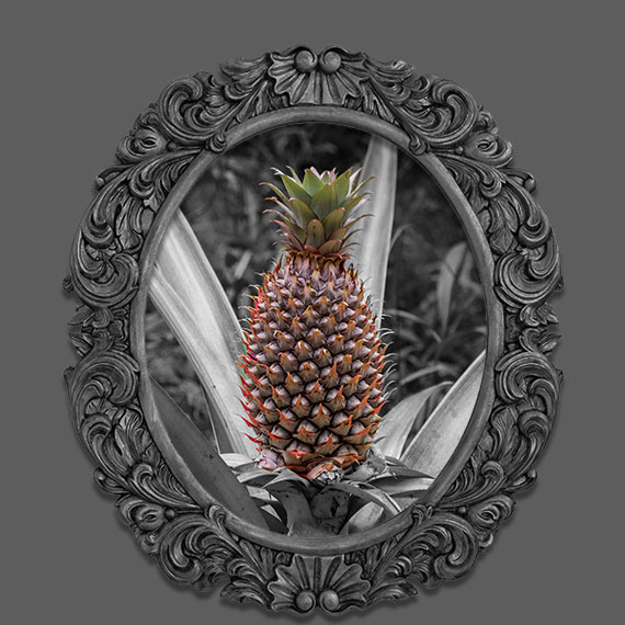Pineapple photo with frame